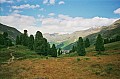 Zirbenwald Obergurgl.jpg Zirbenwald Obergurgl.jpg